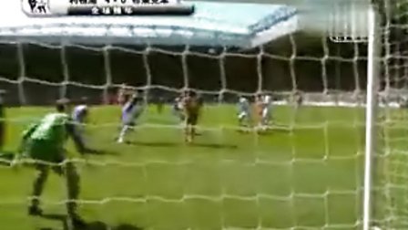 受伤的野兽 受伤的野兽