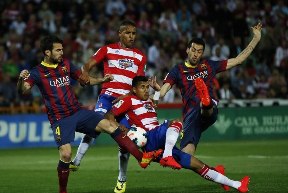 地区的一系 地区的一系